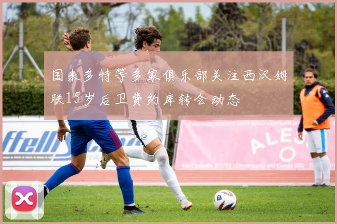国米多特等多家俱乐部关注西汉姆联15岁后卫费约库转会动态