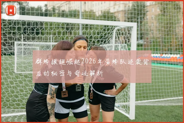 群蜂振翅崛起2026年黄蜂队逆袭背后的秘密与奇迹解析