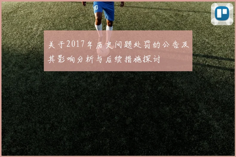 关于2017年历史问题处罚的公告及其影响分析与后续措施探讨